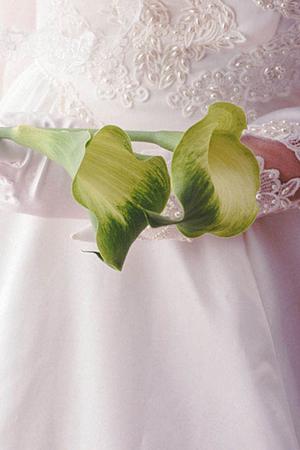 フィリピン美人と国際結婚がおすすめ